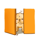 Lu huhu Toy Poodle（個別スタンプ：22）