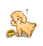 Lu huhu Toy Poodle（個別スタンプ：23）