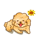 Lu huhu Toy Poodle（個別スタンプ：24）