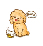 Lu huhu Toy Poodle（個別スタンプ：28）