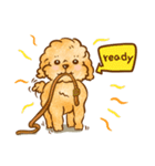 Lu huhu Toy Poodle（個別スタンプ：30）