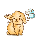 Lu huhu Toy Poodle（個別スタンプ：33）