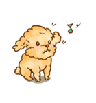 Lu huhu Toy Poodle（個別スタンプ：37）