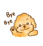 Lu huhu Toy Poodle（個別スタンプ：40）