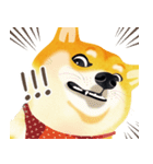 Shiba Inu Bui Sticker (E-VOL.1)（個別スタンプ：1）