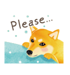 Shiba Inu Bui Sticker (E-VOL.1)（個別スタンプ：11）