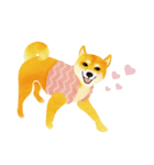 Shiba Inu Bui Sticker (E-VOL.1)（個別スタンプ：17）