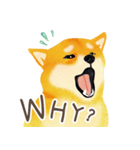 Shiba Inu Bui Sticker (E-VOL.1)（個別スタンプ：18）