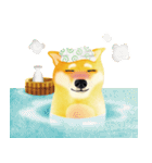 Shiba Inu Bui Sticker (E-VOL.1)（個別スタンプ：19）