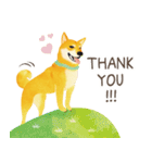 Shiba Inu Bui Sticker (E-VOL.1)（個別スタンプ：20）