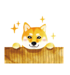 Shiba Inu Bui Sticker (E-VOL.1)（個別スタンプ：22）