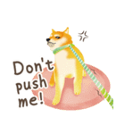 Shiba Inu Bui Sticker (E-VOL.1)（個別スタンプ：24）