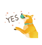 Shiba Inu Bui Sticker (E-VOL.1)（個別スタンプ：38）