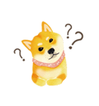 Shiba Inu Bui Sticker (E-VOL.1)（個別スタンプ：39）