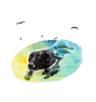 P. Black Labrador（個別スタンプ：8）