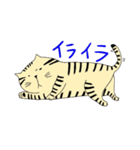 トラ猫ちゃん（個別スタンプ：11）