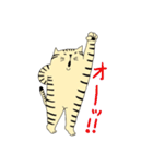 トラ猫ちゃん（個別スタンプ：30）