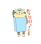 トラ猫ちゃん（個別スタンプ：35）