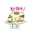 トラ猫ちゃん（個別スタンプ：38）