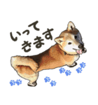 ぬのかわ犬猫病院スタンプ（個別スタンプ：4）