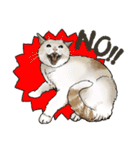 ぬのかわ犬猫病院スタンプ（個別スタンプ：9）