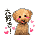 ぬのかわ犬猫病院スタンプ（個別スタンプ：14）