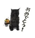 ぬのかわ犬猫病院スタンプ（個別スタンプ：21）