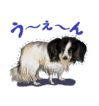 ぬのかわ犬猫病院スタンプ（個別スタンプ：23）