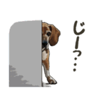 ぬのかわ犬猫病院スタンプ（個別スタンプ：27）
