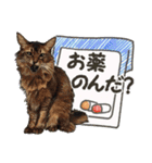 ぬのかわ犬猫病院スタンプ（個別スタンプ：37）