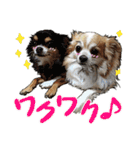 ぬのかわ犬猫病院スタンプ（個別スタンプ：38）