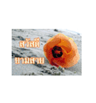 Flowers greeting（個別スタンプ：9）