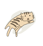 Cat 2017（個別スタンプ：3）