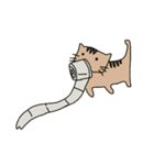 Cat 2017（個別スタンプ：5）