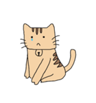 Cat 2017（個別スタンプ：6）