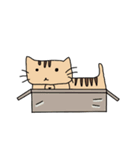 Cat 2017（個別スタンプ：8）