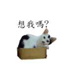 dot 2 everyday（個別スタンプ：2）