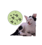 dot 2 everyday（個別スタンプ：4）