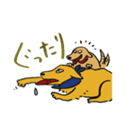 RETRIEVERS FAMILY（個別スタンプ：14）