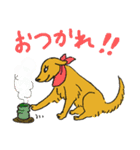 RETRIEVERS FAMILY（個別スタンプ：19）