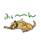 RETRIEVERS FAMILY（個別スタンプ：27）