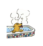 RETRIEVERS FAMILY（個別スタンプ：29）