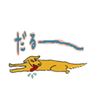 RETRIEVERS FAMILY（個別スタンプ：30）
