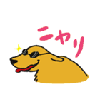 RETRIEVERS FAMILY（個別スタンプ：36）