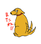 RETRIEVERS FAMILY（個別スタンプ：40）