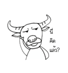Albi-Buffalo（個別スタンプ：6）