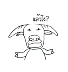 Albi-Buffalo（個別スタンプ：12）