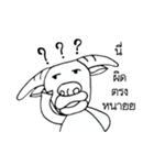 Albi-Buffalo（個別スタンプ：28）