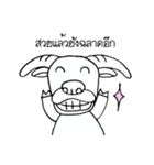 Albi-Buffalo（個別スタンプ：29）