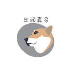 Shiba Sherry（個別スタンプ：21）